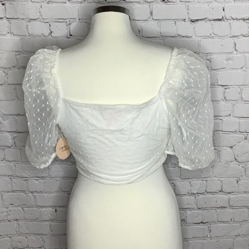 REVOLVE x CAMILA COELHO white Sancia Crop top - Picture 11 of 13